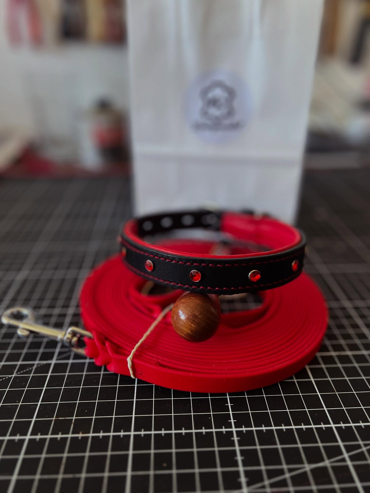 Set aus schwarzem Halsband mit roter Polsterung und Steinchen samt roter Biothane-Schleppleine
